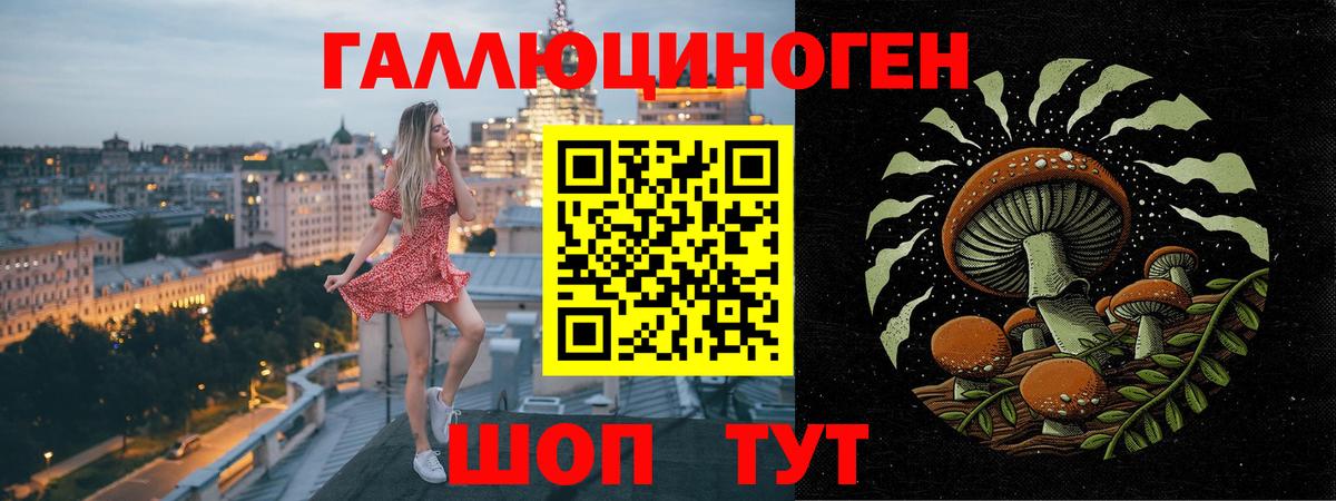 Новочебоксарск  Галлюциногенные грибы Cubensis  Псилоцибиновые грибы прущие грибы  Вход с VPN 